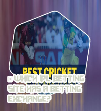 Easy cricket betting app